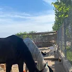 El Maset De Prázdninový dům